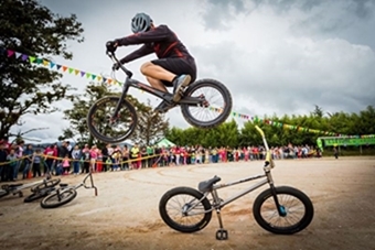 festival-de-la-alegria-2017.jpg