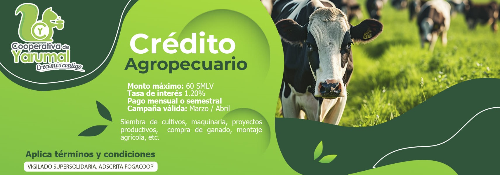 Credito agropecuario