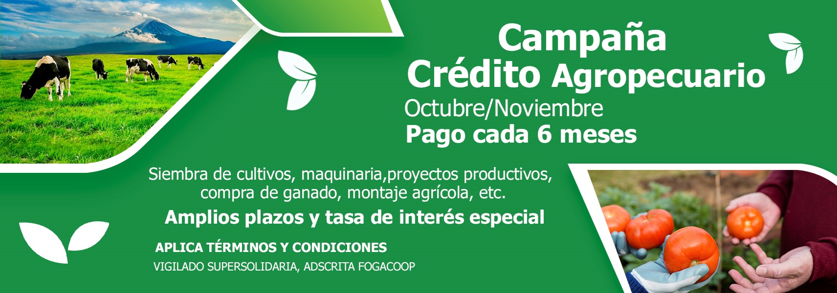 Credito agropecuario
